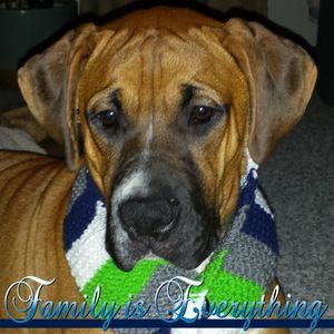 Meet your Posher, Eva